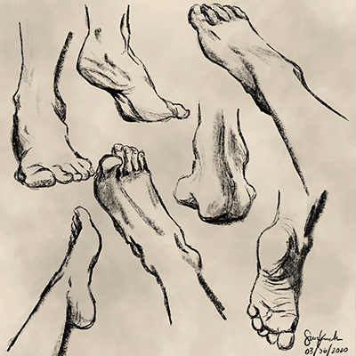 Feet Study