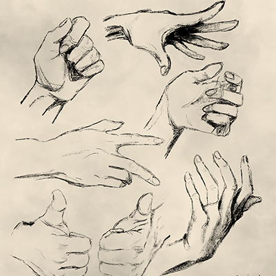 Hand Study